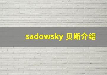 sadowsky 贝斯介绍